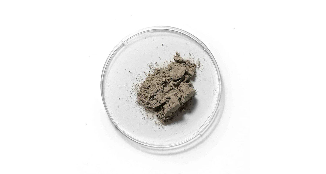 Maris Limus Extract
