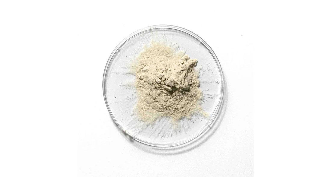 Soy protein