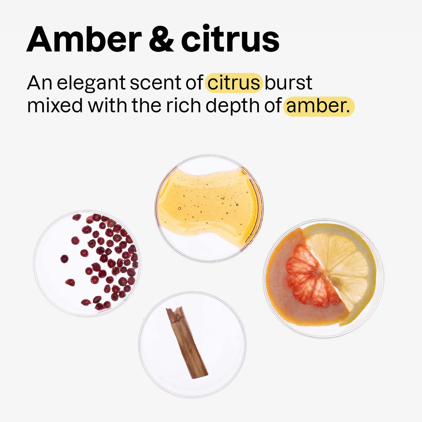 2-in-1 Men Shampoo & Conditioner Volumizing